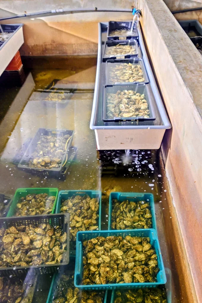 Ferme Aquacole Eau-Médoc